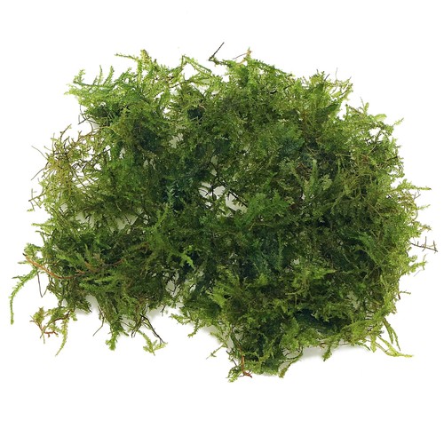 K2aqua grams christmas moss - k2aqua, 20