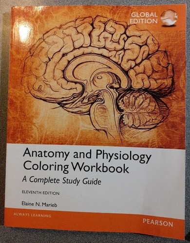Anatomy and physiology - anatomy,