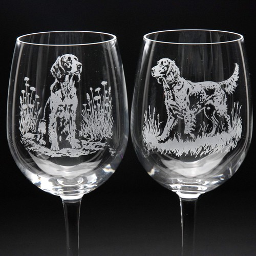 English setter dog - setter, crystal