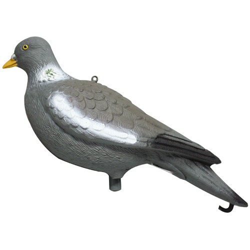 Sport plast full - sport, pigeon