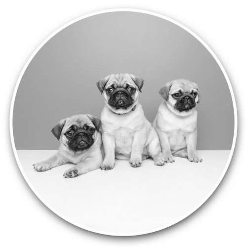 Vinyl stickers 15cm - 2, x