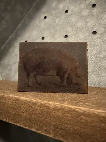 Hog pig vintage - hog,