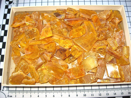 Pliocene amber africa - pliocene,