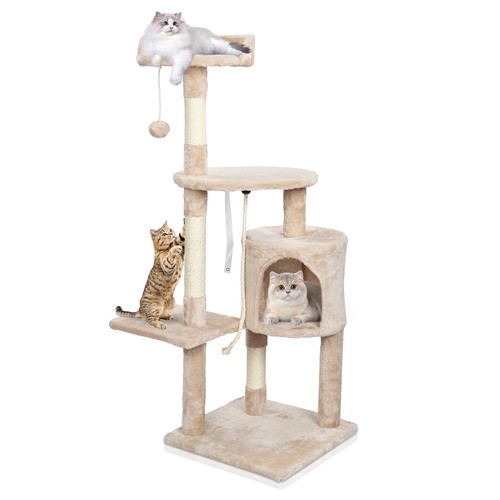 Kitten cat tree activity - kitten,