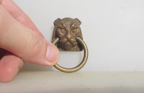 Victorian brass lion pull - brass,