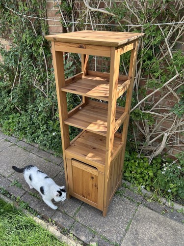 Pine wood display cabinet - wood,