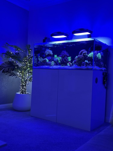 Evaluation aqua 1200 aqarium - evaluation,
