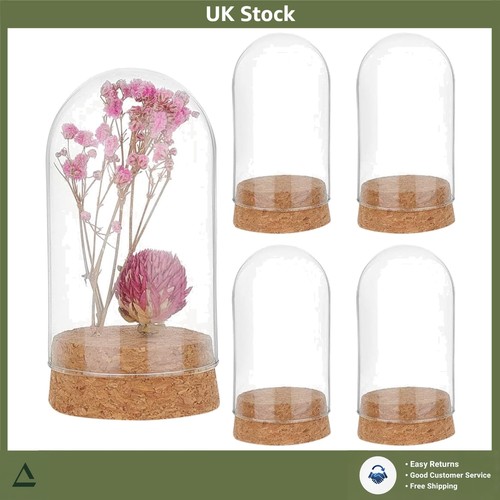 Elegant glass display dome - display,