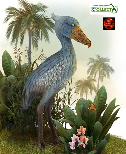 Shoebill african stork - shoebill,