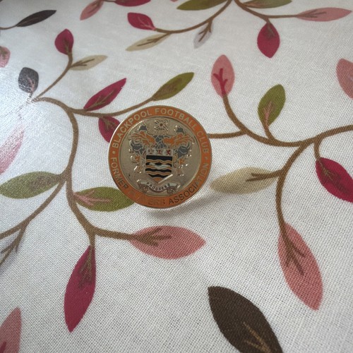 Blackpool pin badge - pin,