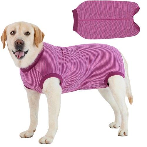 Dog recovery suit - suit, post