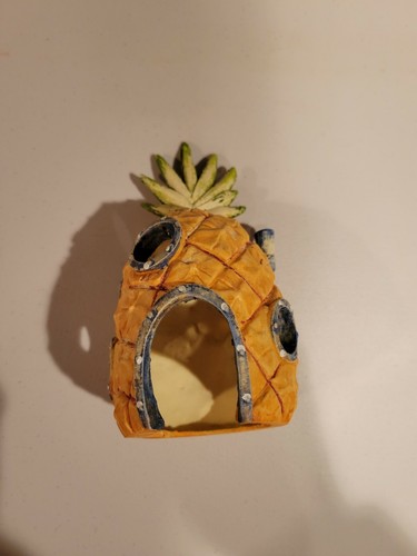 Used loose spongebob - loose,