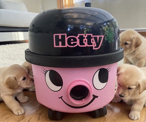 Hetty het200 hoover vac - hetty,