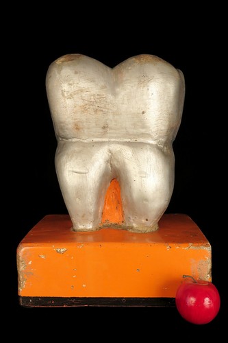 Vintage tooth sculpture - vintage, circa