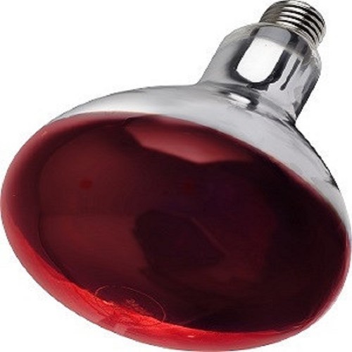 Infa red heat lamp bulb - infa-red, for