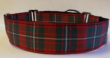 MacGregor Red Tartan Martingale Dog Collar 1.5" Greyhound Lurcher Podenco Saluki