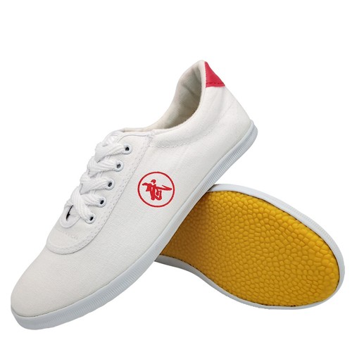 Kung tai chi shoes - tai,