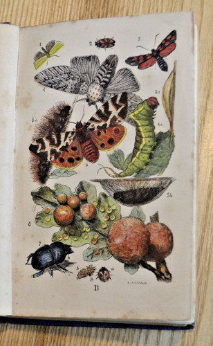 Common objects the - of, country