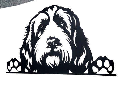 Italiano spinone dog vinyl - italiano,