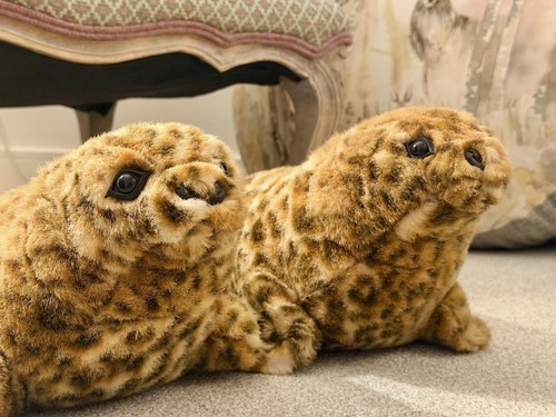 Vintage pair spotted - spotted, seal