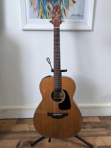 Takamine p1m pro - takamine,