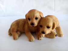 Dog puppy royal - dog,