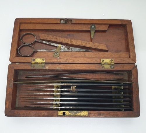 Victorian field medical - victorian,