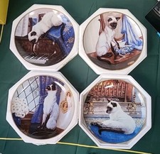 Siamese Cats Collectors