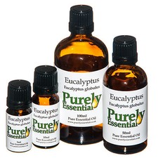 Eucalyptus Essential Oil 5ml 10ml 50ml 100ml, Pure & Natural, Purely Essential 