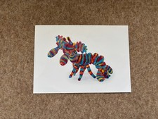 TOFT Peacock Mantis Shrimp