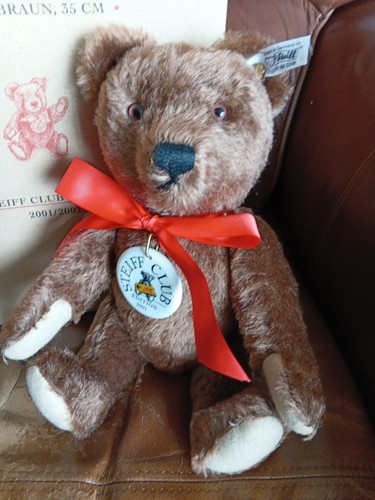 Steiff club bear - ,