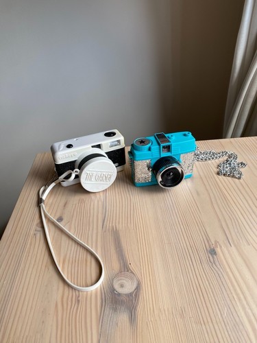 Lomography diana mini - lomography,