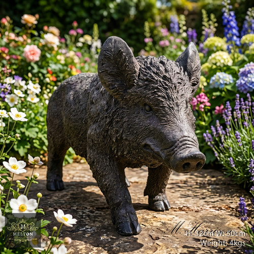 Wild boar pig - wild,