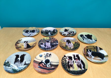 Border Collie Plates ( 11