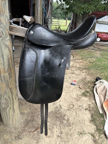 Barnsby cirrus dressage - barnsby,