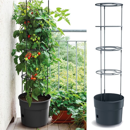 300mm 350 400mm tomato - 300mm/350/400mm,