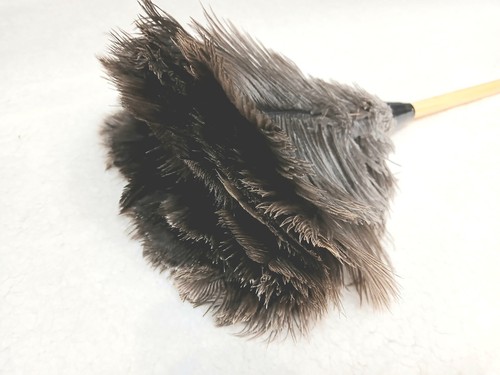 Large ostrich feather duster - ostrich,