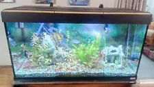 Fluval Roma 200l Aquarium, full set up incl. fish and ornaments, lots of extras