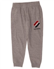 Superdry Mens Graphic