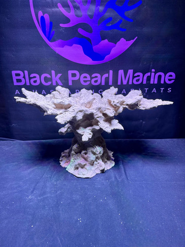 Bpm scape nano 571029 - |, #571029