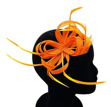 Ladies Feather Beak Clip