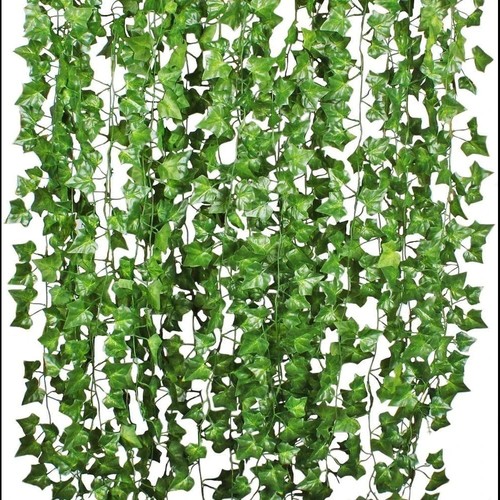 Pack feet fake ivy - feet,