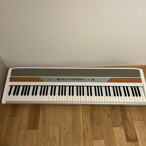 Korg 250 - korg, sp-250