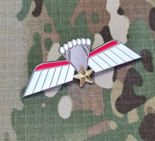 Netherlands parachutist para - parachutist,