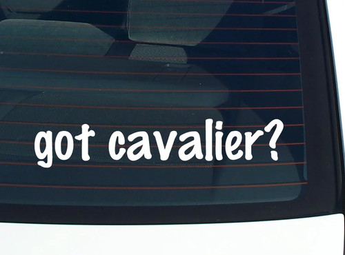 Got cavalier car - got, cavalier?