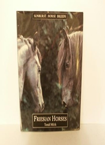 Friesian horses sunburst - friesian, (sunburst