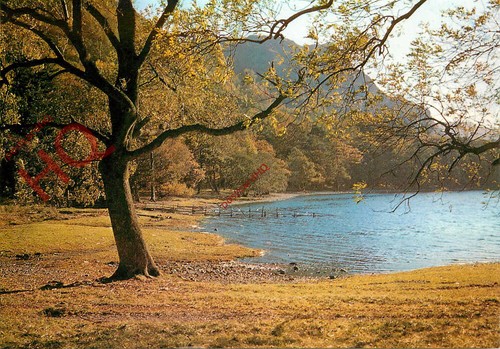 Picture postcard derwentwater - postcard_,