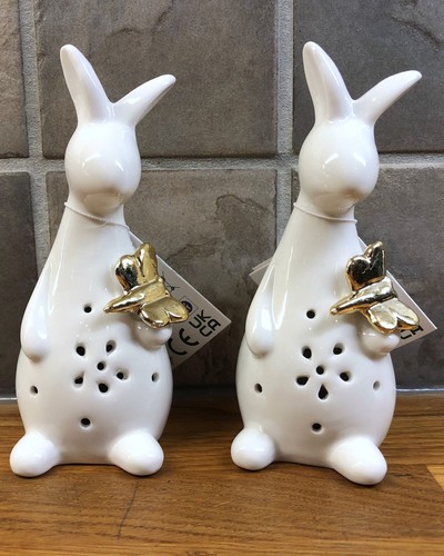 Pepco pair white led easter - led,