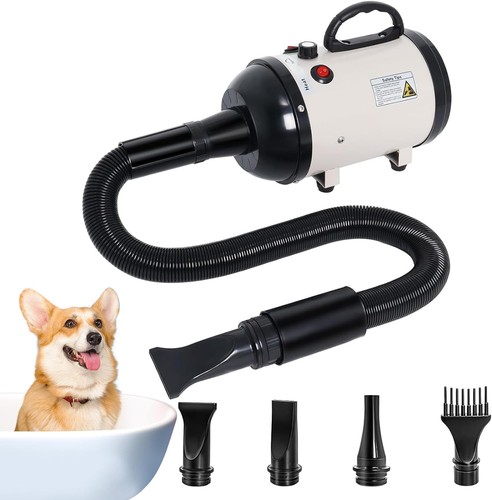 Dog hair dryer dogs - dog, cats