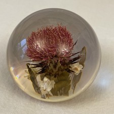 Vintage Hippocampus Lucite